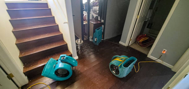 Best Flooded house restoration  in White House, TN
