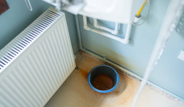 Best Water damage restoration near me  in White House, TN