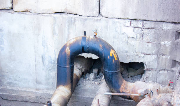 Best Water damage cleanup near me  in White House, TN